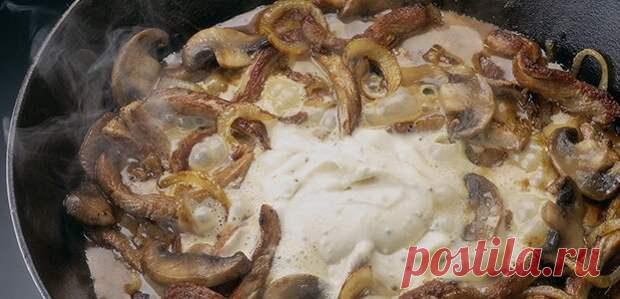 Вешенки – 5 легких и вкусных рецептов Грибы вешенки полезны и содержат аминокислоты, минералы, полисахариды, витамины и белки. Эти грибы можно выращивать в домашних условиях. Из вешенок готовят салаты, их солят и маринуют, жарят с овощами. Маринованные вешенки Если на зиму заготовки из грибов не - 26 марта - 43489130454 - Медиаплатформа МирТесен