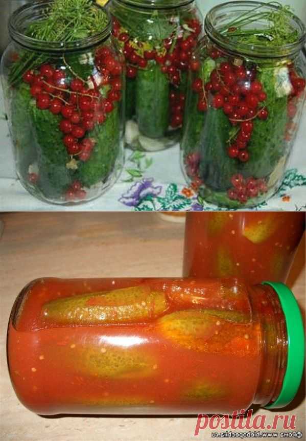 20 супер рецептов огурцов на зиму!