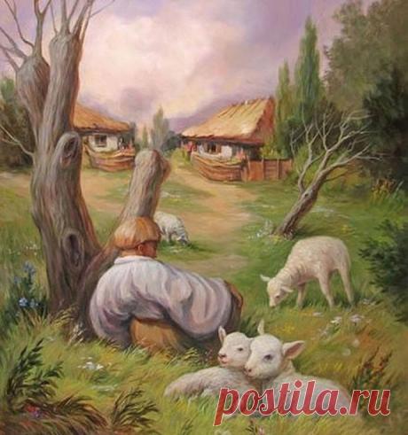 Одноклассники