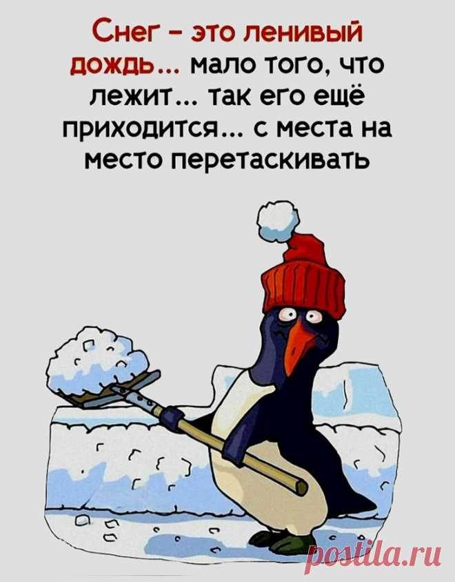 Снег - это ленивый дождь (открытка 1135): Бесплатные картинки &#8226; Открытки Топ