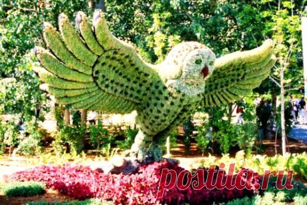 Oдно из старейших направлений садово-паркового искусства, которое заключается в многолетнем формировании декоративных форм из растений посредством выращивания деревьев, кустарников и полукустарников определенным образом и последующей регулярной стрижки для поддержания необходимого вида. Творения могут быть самыми разнообразными – геометрическими, абстрактными, архитектурными или изображать животных и людей.