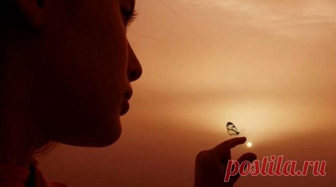 Молчание – это хорошо отредактированный ответ | Журнал 