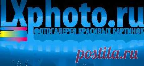 Животные картинки и фото на рабочий стол, обои животные на ваш смартфон, планшет, iPhone или iPad И НЕ ТОЛЬКО,А НА ВСЕ СЛУЧАИ ДЛЯ ВСЕХ ГАДЖЕТОВ .