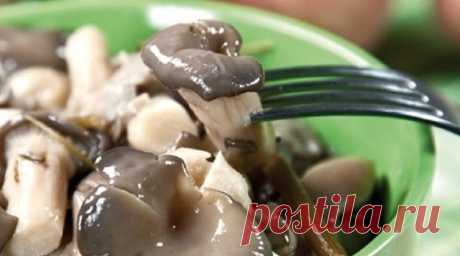 БЫСТРОЕ МАРИНОВАНИЕ ГРИБОВ ВЕШЕНКА

Ммммм.... вкуснятинка!!! Сохраните себе рецепт обязательно!!!
Итак, покупаем:
- 2 килограмма свежих вёшенок, причем, желательно на гроздях и желательно не самых крупных.
- Несколько стеблей сухого укропа с венчиками. Укроп в наборе с лаврушкой можно купить на рынках в рыбных рядах. Эти наборы продают для любителей отваривать раков с укропом. Свежий укроп ни при каких обстоятельствах не годится – велик риск получить потом плесень на повер...