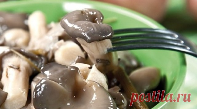 БЫСТРОЕ МАРИНОВАНИЕ ГРИБОВ ВЕШЕНКА

Ммммм.... вкуснятинка!!! Сохраните себе рецепт обязательно!!!
Итак, покупаем:
- 2 килограмма свежих вёшенок, причем, желательно на гроздях и желательно не самых крупных.
- Несколько стеблей сухого укропа с венчиками. Укроп в наборе с лаврушкой можно купить на рынках в рыбных рядах. Эти наборы продают для любителей отваривать раков с укропом. Свежий укроп ни при каких обстоятельствах не годится – велик риск получить потом плесень на повер...