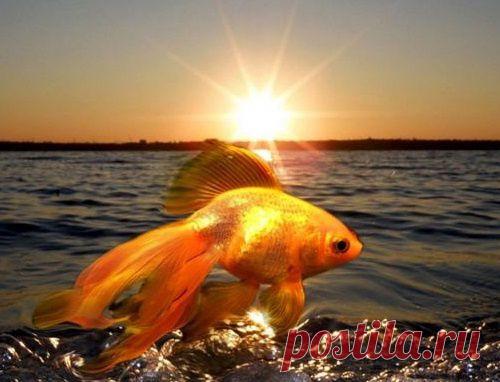 Аффирмации на каждый день. Для прощения.