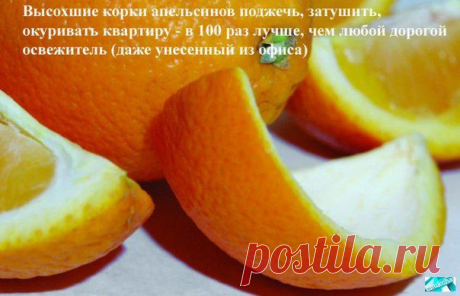 15 полезных советов