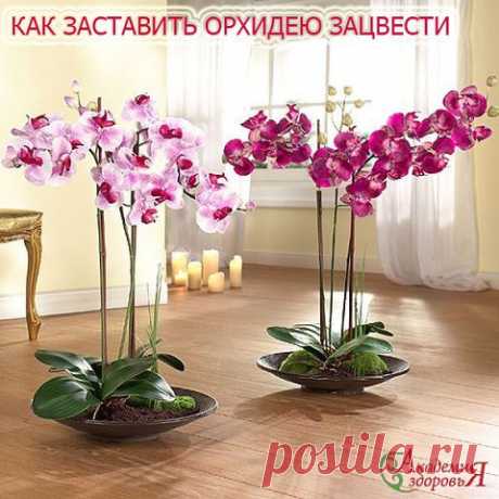 (58) Одноклассники