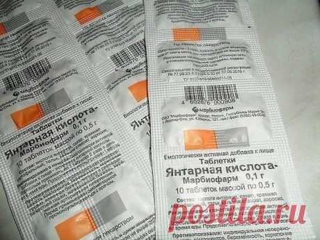 ЯНТАРНАЯ КИСЛОТА ДЛЯ ЦВЕТОВ!

Продавец в цветочном магазине однажды уговорил меня купить янтарную кислоту: мол, это средство удивительно стимулирует рост растений и переборщить с ним невозможно.

Дома я развела 1 г. порошка на 5 л. воды, полила и опрыскала раствором все домашние растения.
Показать полностью...