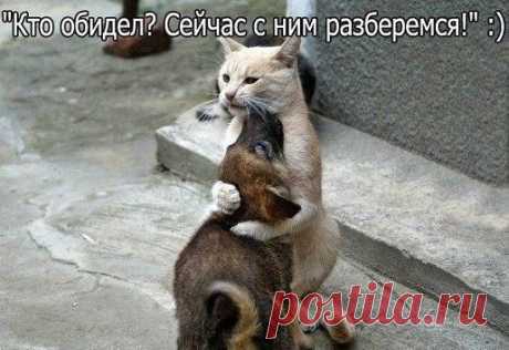 Мой Мир@Mail.Ru