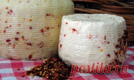 Качотта — сыр из овечьего молока. Рецепт сыра Качотта (Caciotta)