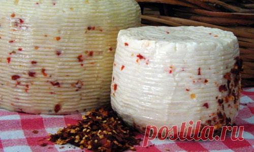 Качотта — сыр из овечьего молока. Рецепт сыра Качотта (Caciotta)