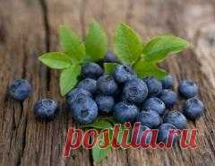 4 августа в народном календаре Мария Ягодница