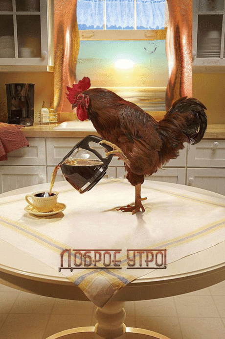 081306_1464941586.gif (564×847)