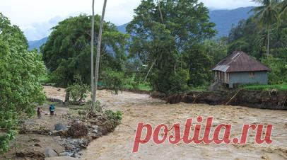 Число погибших от наводнений и оползней в Индонезии выросло до 225. Власти Индонезии заявили, что число погибших от наводнений и оползней в стране выросло до 225. Читать далее