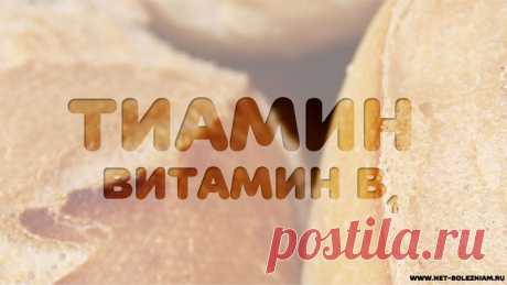 Витамин В1 (тиамин) — Net-Bolezniam.Ru

Витамин В1 (тиамин) - это важный водорастворимый витамин, благодаря которому в организме синтезируется фермент тиаминпирофосфат.

Это химическое вещество используется в организме для получения энергии.