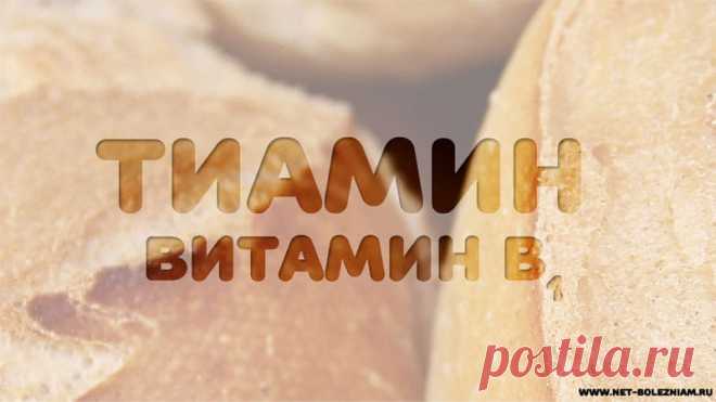 Витамин В1 (тиамин) — Net-Bolezniam.Ru

Витамин В1 (тиамин) - это важный водорастворимый витамин, благодаря которому в организме синтезируется фермент тиаминпирофосфат.

Это химическое вещество используется в организме для получения энергии.
