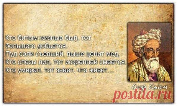 мудрые высказывания в картинках - Поиск в Google