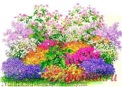 ЦВЕТНИКИ В НОЯБРЕ