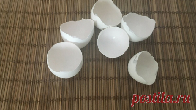 Гиалуроновая кислота из яичной скорлупы взамен дорогих салонных инъекций