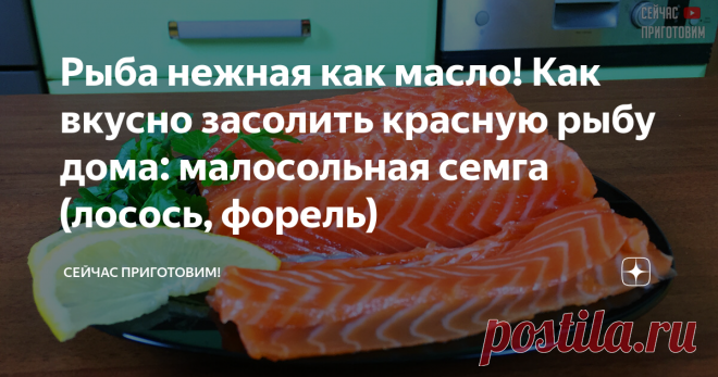 Рыба нежная как масло! Как вкусно засолить красную рыбу дома: малосольная семга (лосось, форель)