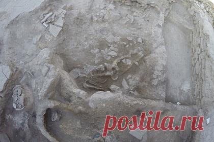 Впервые обнаружена жертва древнего цунами. Международная группа ученых обнаружила на побережье Западной Турции останки молодого человека, погибшего из-за цунами приблизительно 3600 лет назад. Гигантская волна возникла во время извержения вулкана Тира, располагающегося на острове Санторини и погубившего Минойскую цивилизацию.