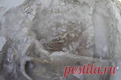 Впервые обнаружена жертва древнего цунами. Международная группа ученых обнаружила на побережье Западной Турции останки молодого человека, погибшего из-за цунами приблизительно 3600 лет назад. Гигантская волна возникла во время извержения вулкана Тира, располагающегося на острове Санторини и погубившего Минойскую цивилизацию.