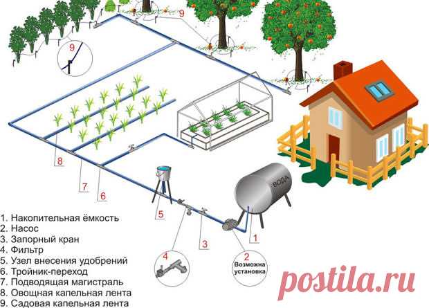 Как сделать капельный полив своими руками

Опытные садоводы знают, как важно организовать грамотную систему полива на своем участке. Большинство из них приходят к единогласному мнению, что для овощных культур, винограда и декоративных растений наиболее подходящим является капельный полив. Дачники – народ особый, творческий, находчивый и изобретательный. Практически из ничего, они могут сделать очень полезные для хозяйства вещи. И система капельного полива не стала исключен...