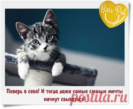 Фотографии ◙ НастОящий РОЙ. Цитатник писателя Олега Роя ◙ | 25 альбомов