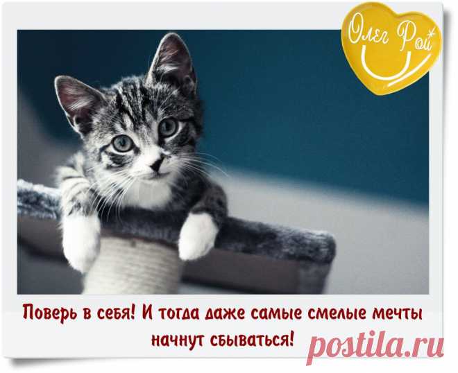 Фотографии ◙ НастОящий РОЙ. Цитатник писателя Олега Роя ◙ | 25 альбомов