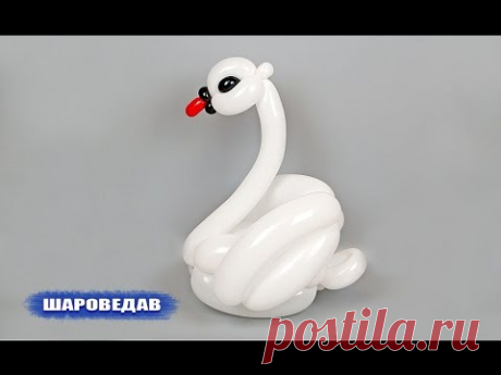 Лебедь из шаров шдм / Swan of balloons twisting