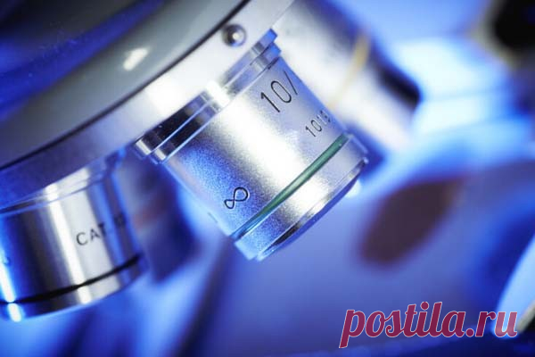 Медицинских роботов тоньше человеческого волоса создали в США Инженеры из Университета Колорадо в Боулдере разработали новую модель крошечных самоходных роботов. Их планируют использовать для медицинских вмешательств.Ширина роботов составляет около 20 микрометров – в несколько раз тоньше человеческого волоса. Они способны преодолевать около трех мм...