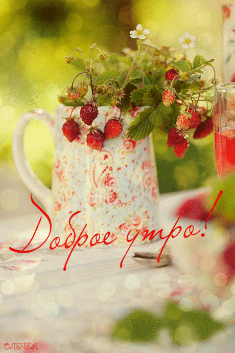 «🌺 С Добрым утром! гиф открытки 🌺 »  в Яндекс.Коллекциях