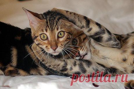 Обнимашки)))))