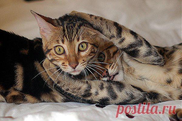 Обнимашки)))))