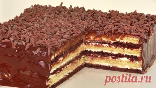 ТОРТ МИШКА НА СЕВЕРЕ