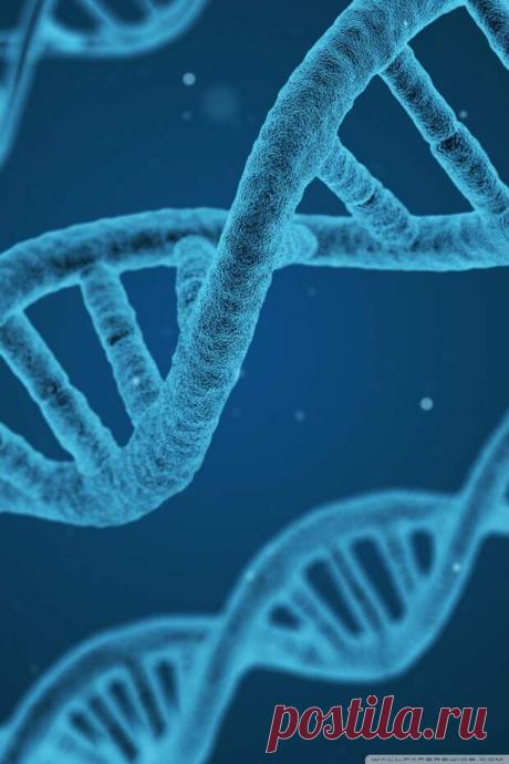 Первые ДНК возникло раньше, чем жизнь на Земле - Эксклюзив - медиаплатформа МирТесен https://x-files Первые ДНК возникло раньше, чем жизнь на Земле Ученые впервые нашли убедительные доказательства того, что РНК и ДНК могли возникнуть из одного и того же набора молекул-предшественников до того, как на Земле появилась жизнь. Последнее открытие предполагает, что первые живые существа