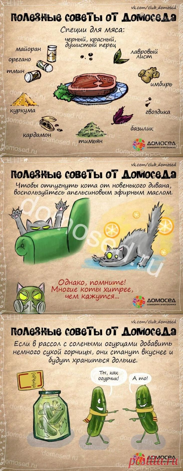 25 советов на все случаи жизни, которые пригодятся каждому