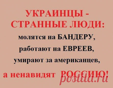В точку 100%