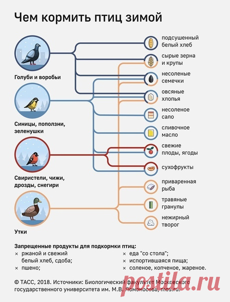 Настёна Куликова