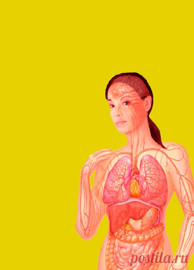 4 проблемы с пищеварением, которые могут указывать на сердечный приступ Если у человека происходит инфаркт, счет времени может идти на минуты. И чем быстрее ему окажут медицинскую помощь, тем выше вероятность благоприятного исхода. Но сердечный приступ может проявляться не только болями в области сердца. Дисфункции пищеварительного тракта тоже являются симптомами кардиологических проблем.