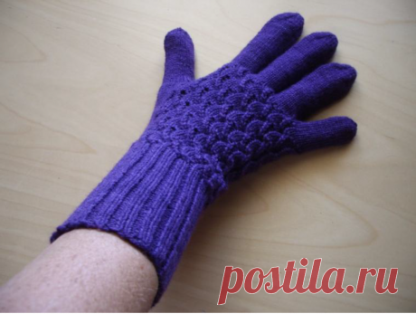 Shell Patterned Gloves by Robin Travenick