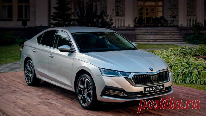 Skoda Octavia (A8) 4-го поколения: версии, салон, экстерьер