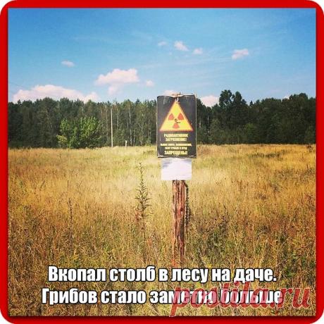 Интересные новости