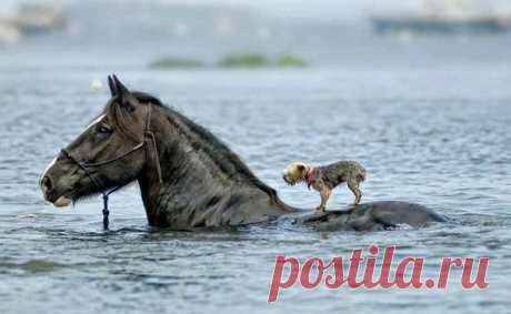 гармония чувств))))))) | thePO.ST