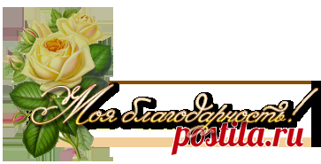 Страницы загружаются не полностью. Браузер не до конца открывает сайты и картинки.