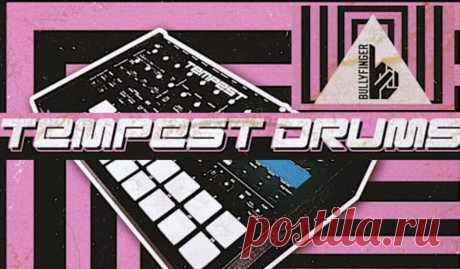 Bullyfinger Tempest Drums WAV | 12.53 MB
Most importantly, there are no presets involved — every single hit in Kaster was crafted from scratch, delivering a range of professional, fully usable analog drum samples ready to elevate your productions.
DOWNLOAD:
https://audioclub.store/samples/tempest-drums-wav/