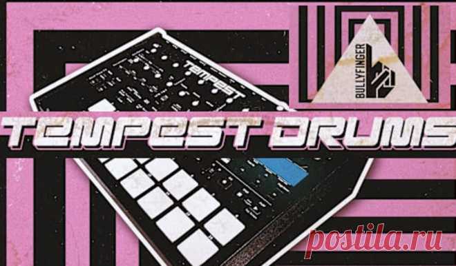 Bullyfinger Tempest Drums WAV | 12.53 MB
Most importantly, there are no presets involved — every single hit in Kaster was crafted from scratch, delivering a range of professional, fully usable analog drum samples ready to elevate your productions.
DOWNLOAD:
https://audioclub.store/samples/tempest-drums-wav/