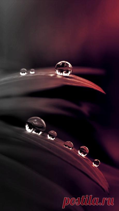 (2608) Pinterest