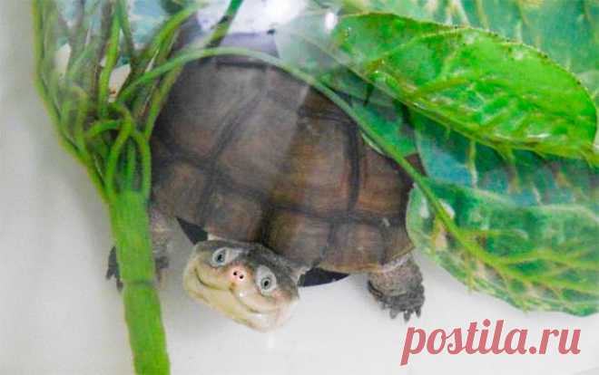 (+1) тема - Самые искренние улыбки... | ЛЮБИМЫЕ ФОТО